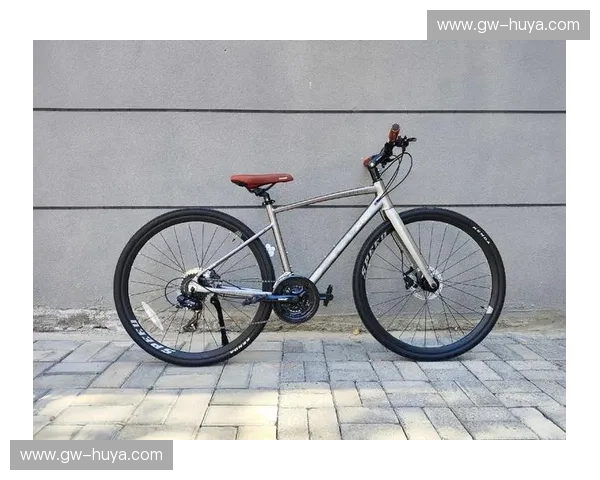 新闻公路自行车：把速度与资讯一同载入城市每一条街道